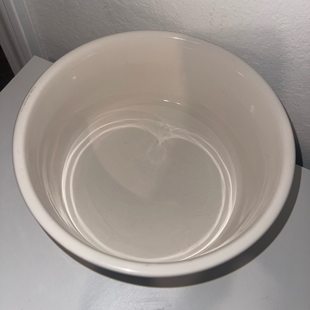 Rae Dunn “Savor” Pet Bowl - Picture 2 of 7